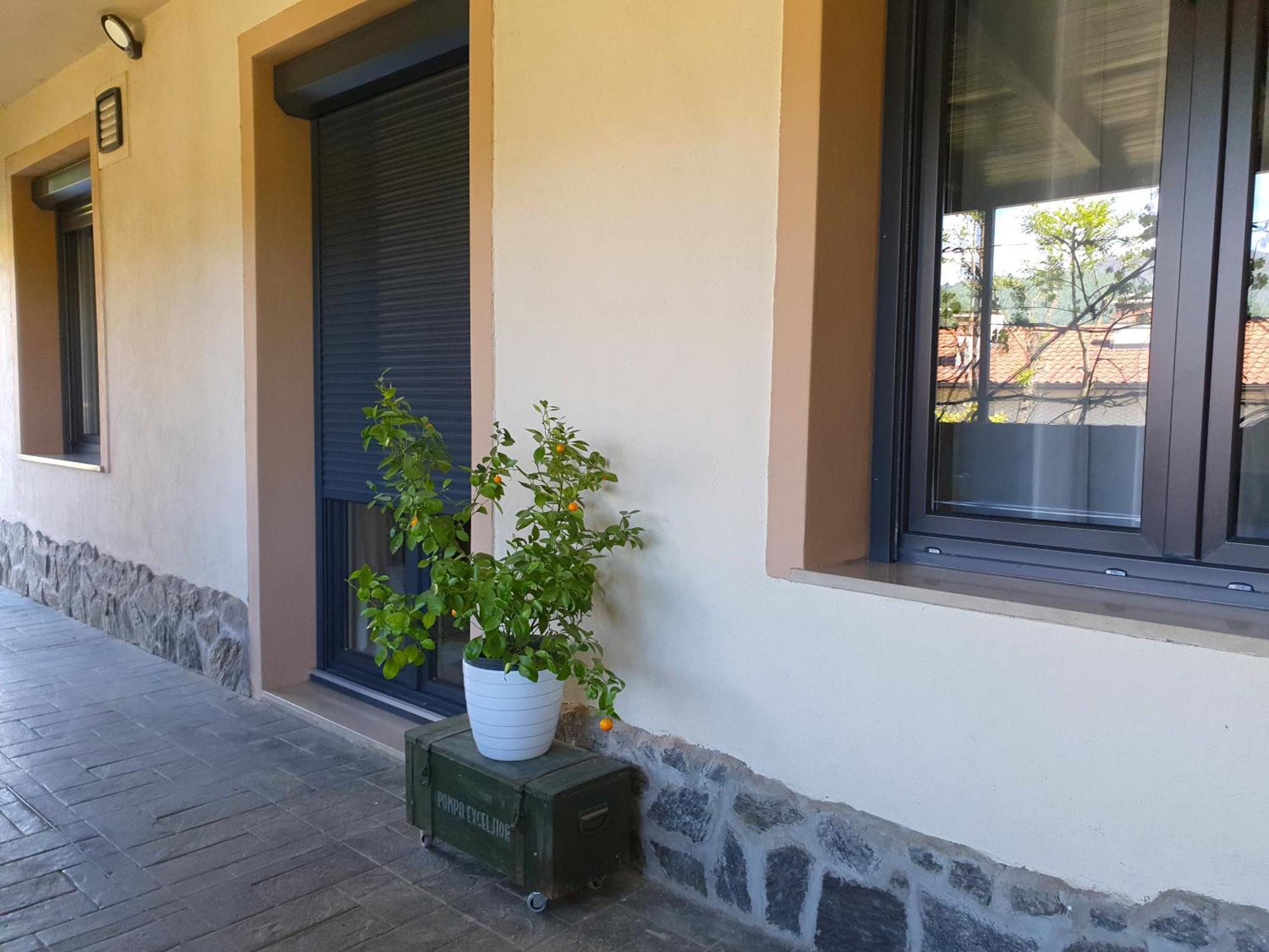 Apartment With Terrace Nona Pavla تولمين المظهر الخارجي الصورة