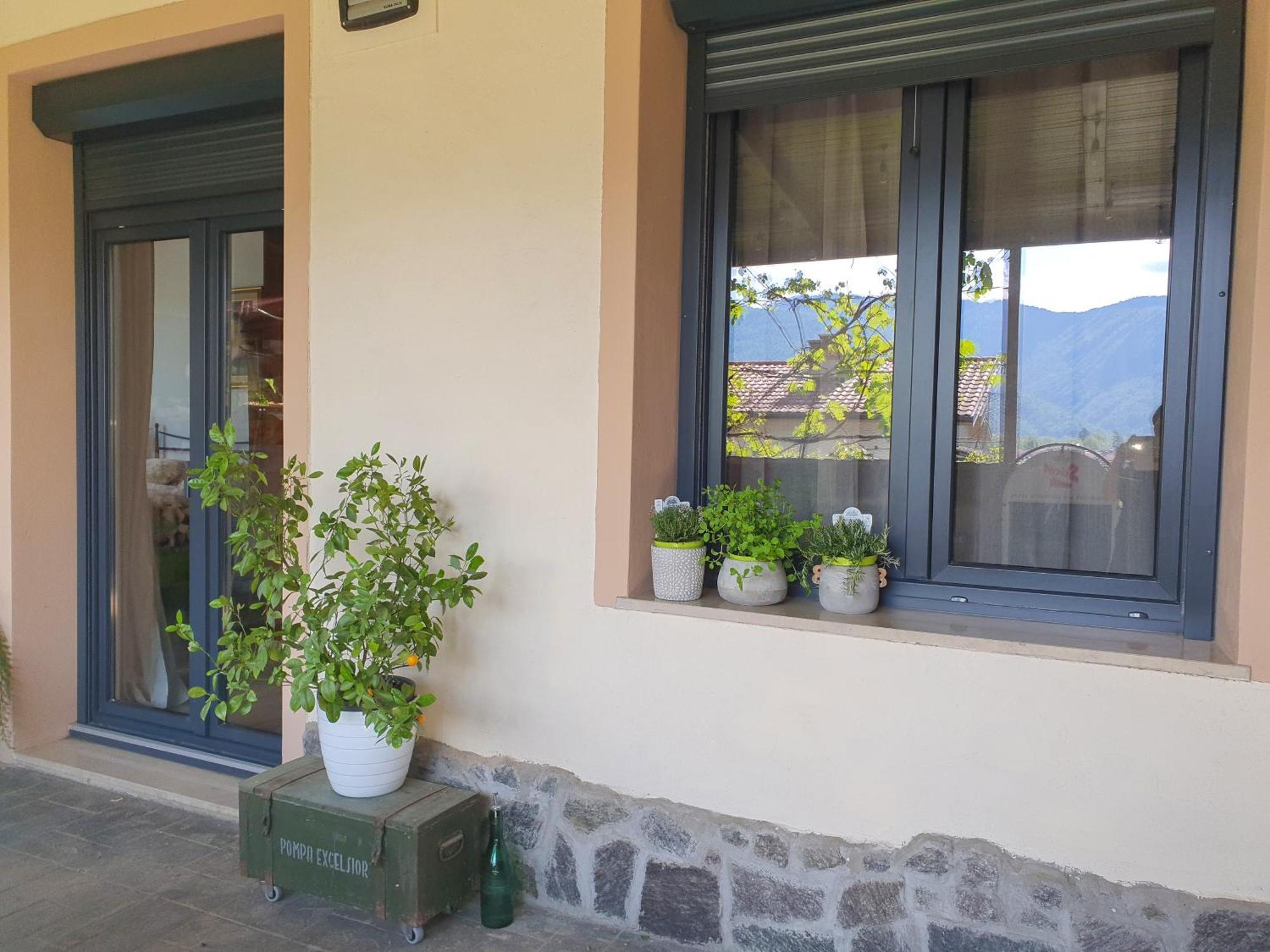 Apartment With Terrace Nona Pavla تولمين المظهر الخارجي الصورة